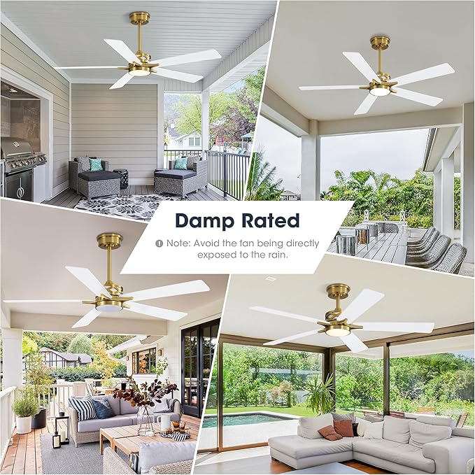 WINGBO 52" Smart Ceiling Fan